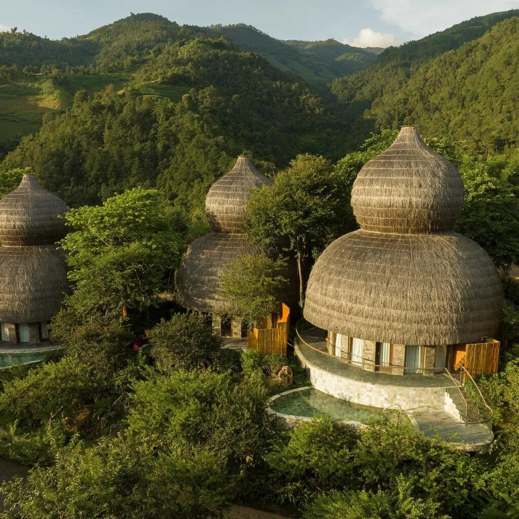 Garrya Mù Cang Chải