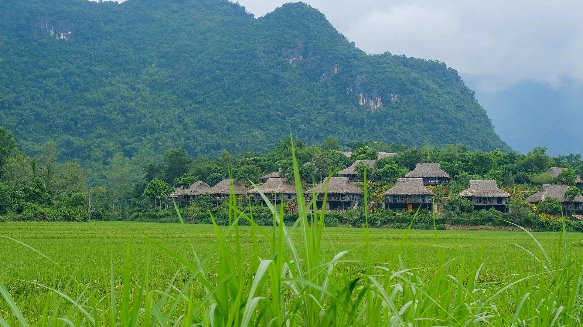 Mai Chau Ecolodge